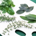 Coltivare le erbe aromatiche in casa